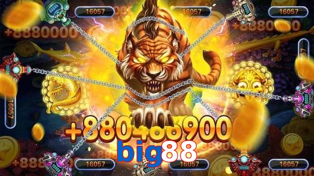 big88
